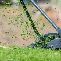 Lawn Being Mown with Push Mower