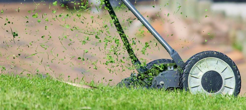 Lawn Being Mown with Push Mower